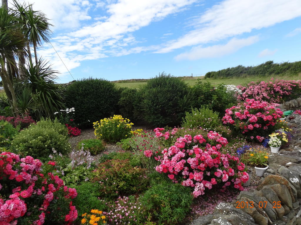 Atlantic View B&B Liscannor Eksteriør bilde